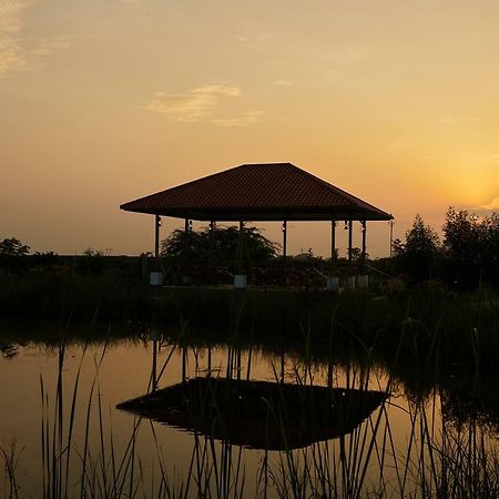 Blackbuck Safari Lodge Velavadar Bavliari Exterior photo