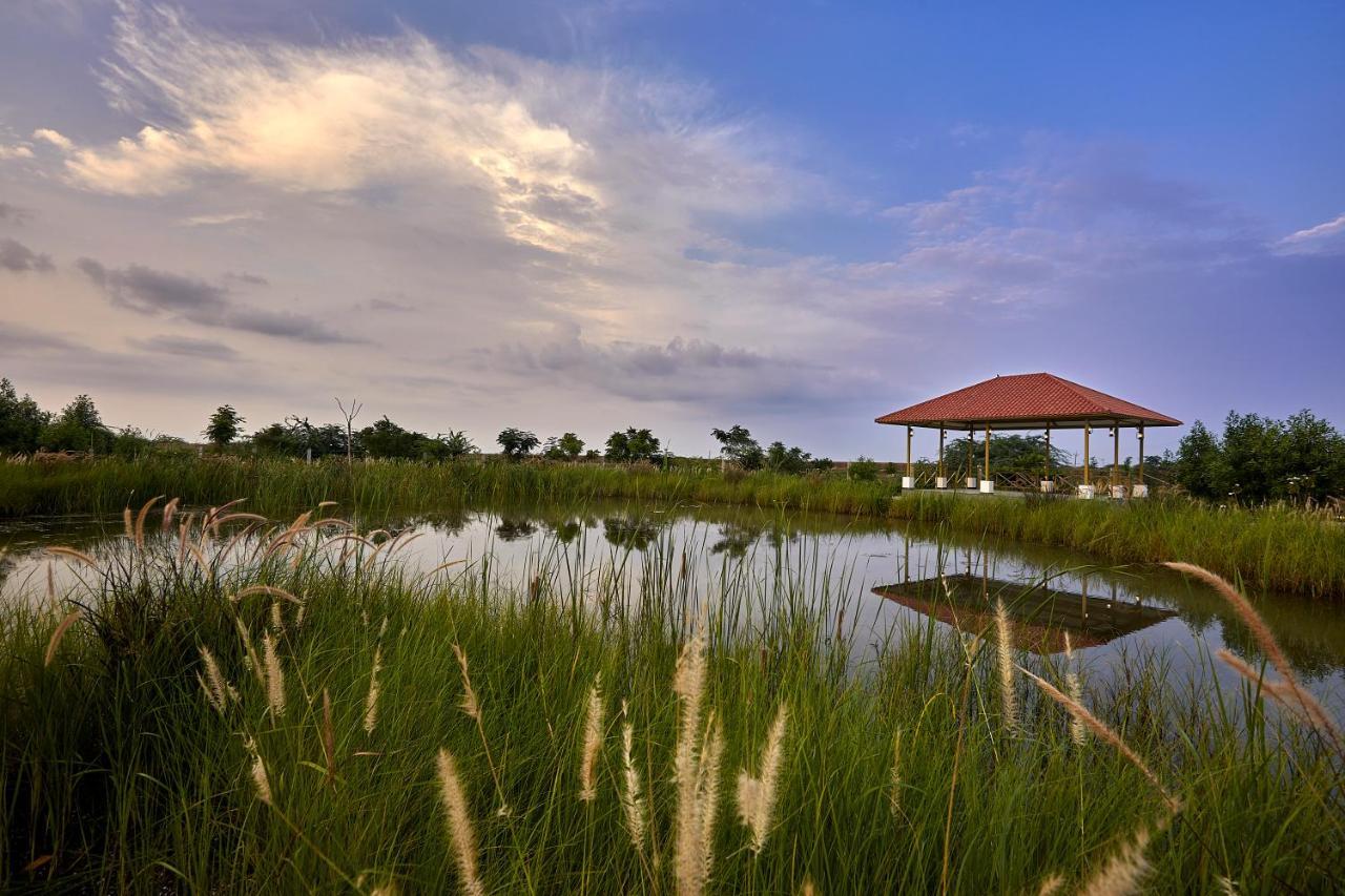 Blackbuck Safari Lodge Velavadar Bavliari Exterior photo