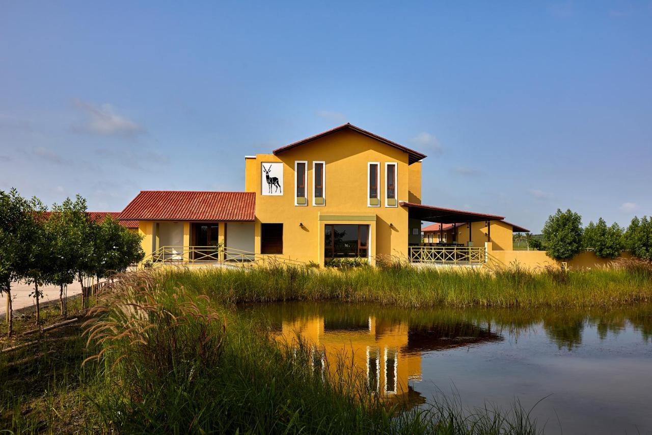 Blackbuck Safari Lodge Velavadar Bavliari Exterior photo
