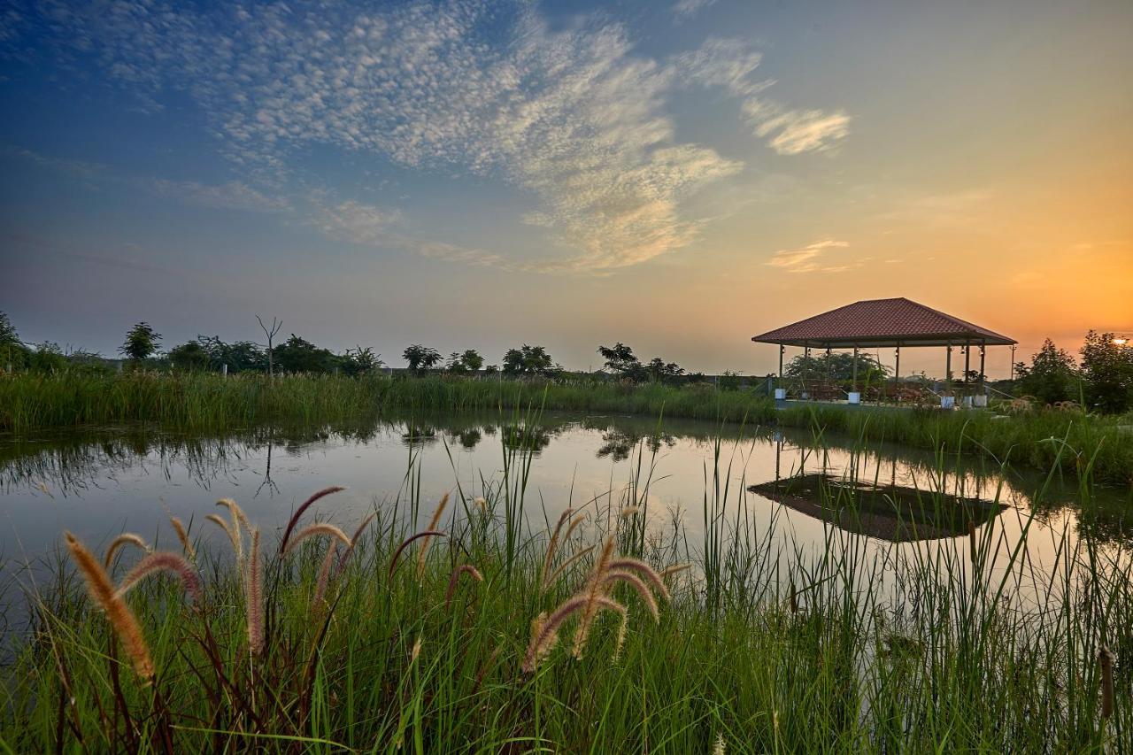 Blackbuck Safari Lodge Velavadar Bavliari Exterior photo