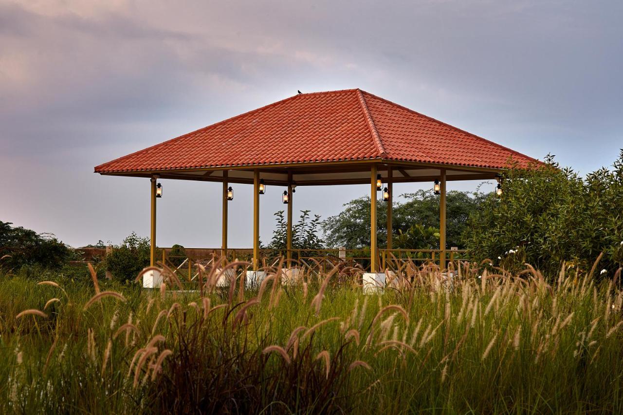 Blackbuck Safari Lodge Velavadar Bavliari Exterior photo