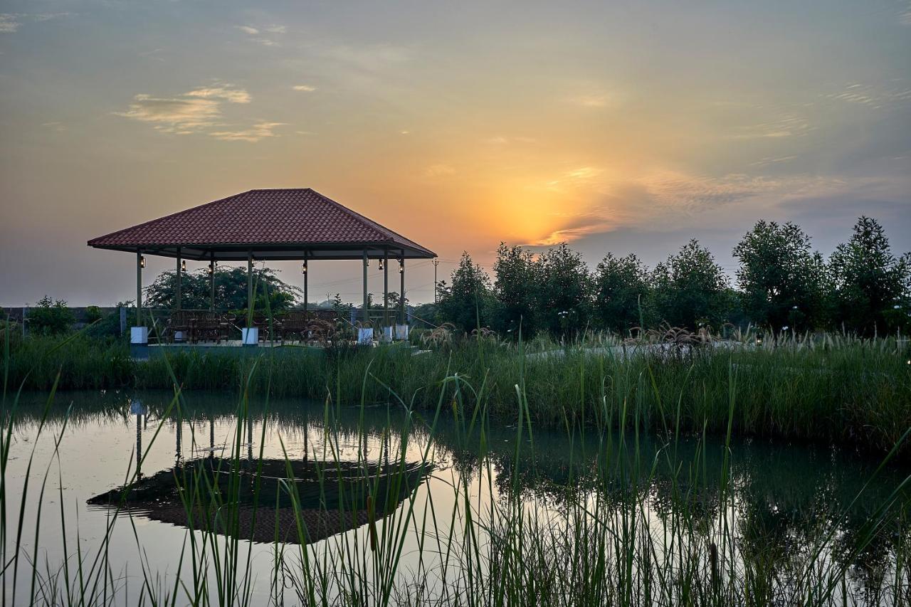 Blackbuck Safari Lodge Velavadar Bavliari Exterior photo