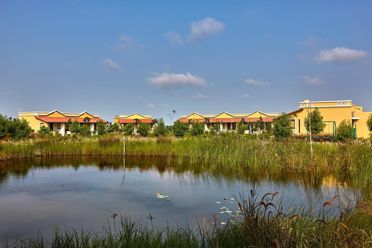 Blackbuck Safari Lodge Velavadar Bavliari Exterior photo