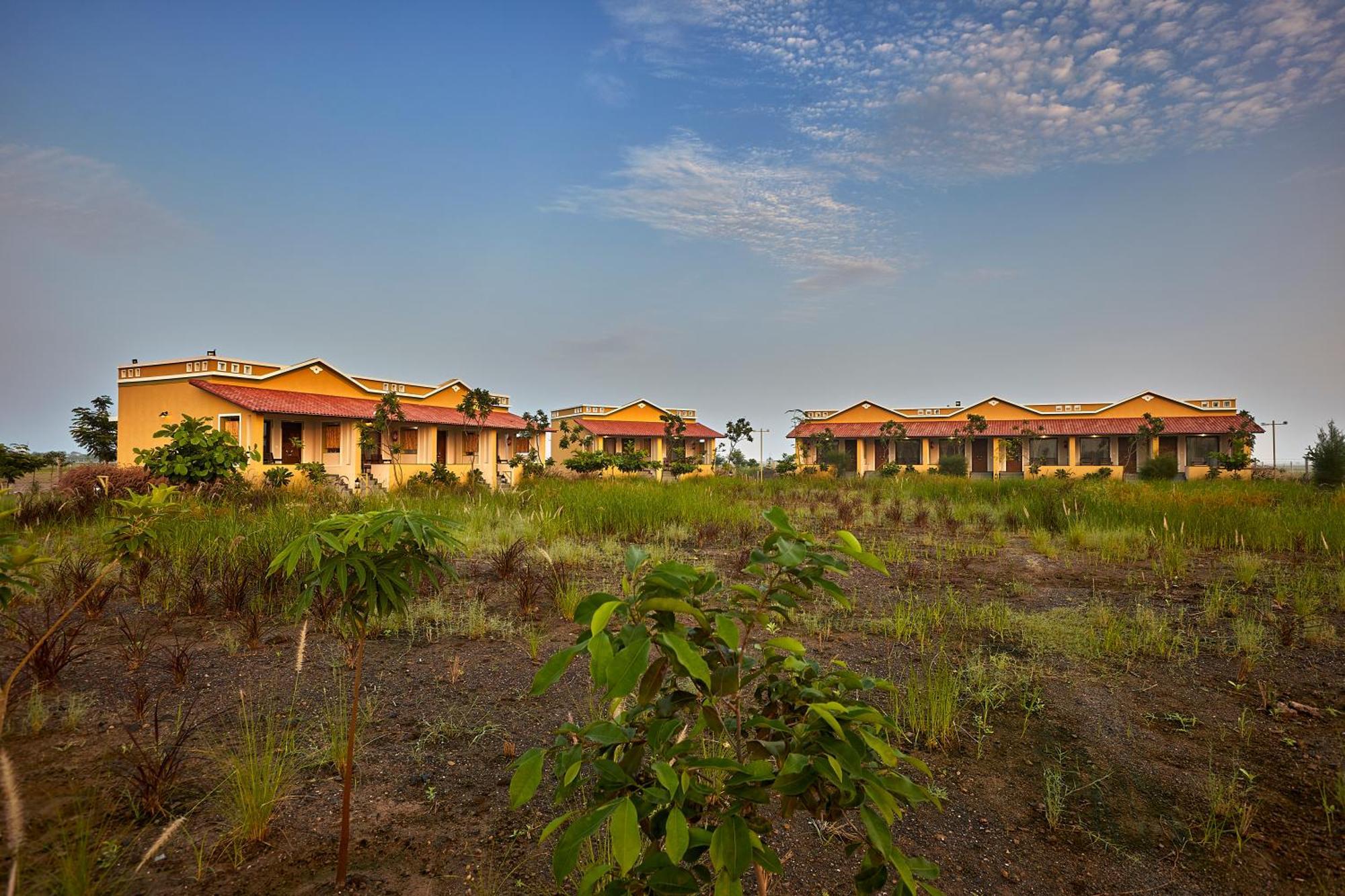 Blackbuck Safari Lodge Velavadar Bavliari Exterior photo