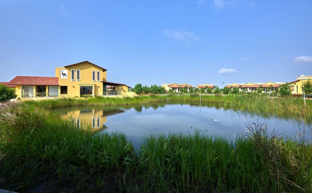 Blackbuck Safari Lodge Velavadar Bavliari Exterior photo